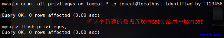 将数据库tomcat分配给用户tomcat.png