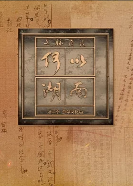 文脉赓续 何以湖南 第二季——沙特高官秀中文