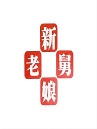 新老娘舅——恶魔奶爸全集下载